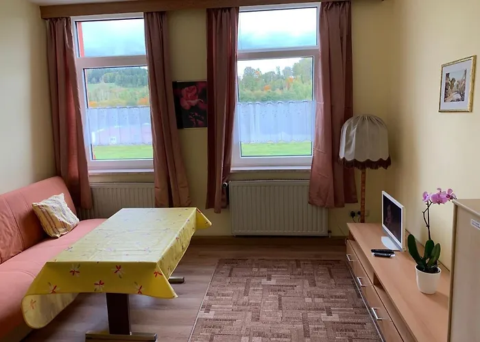 Goldener Drache Apartment Adorf